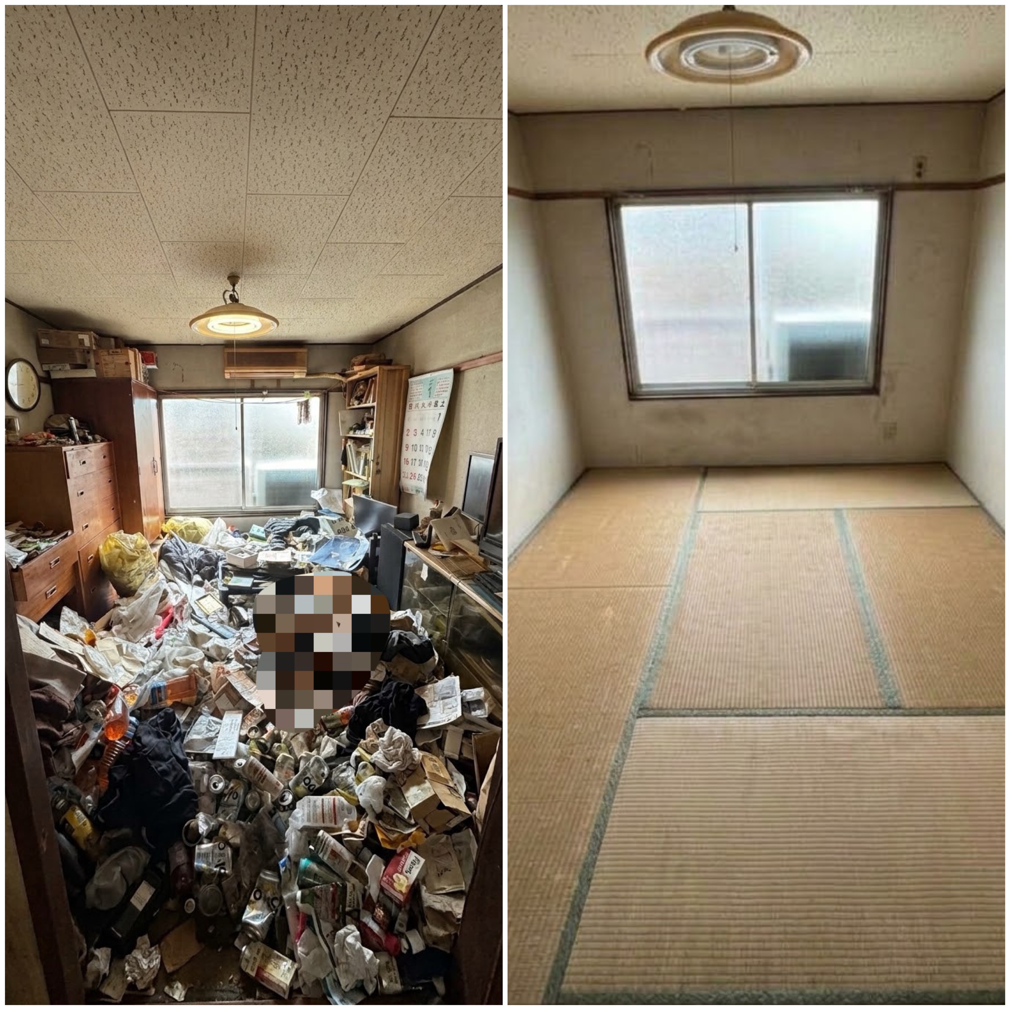 堺市　ゴミ屋敷・多頭飼育によるペット糞尿固着現場（2DK）